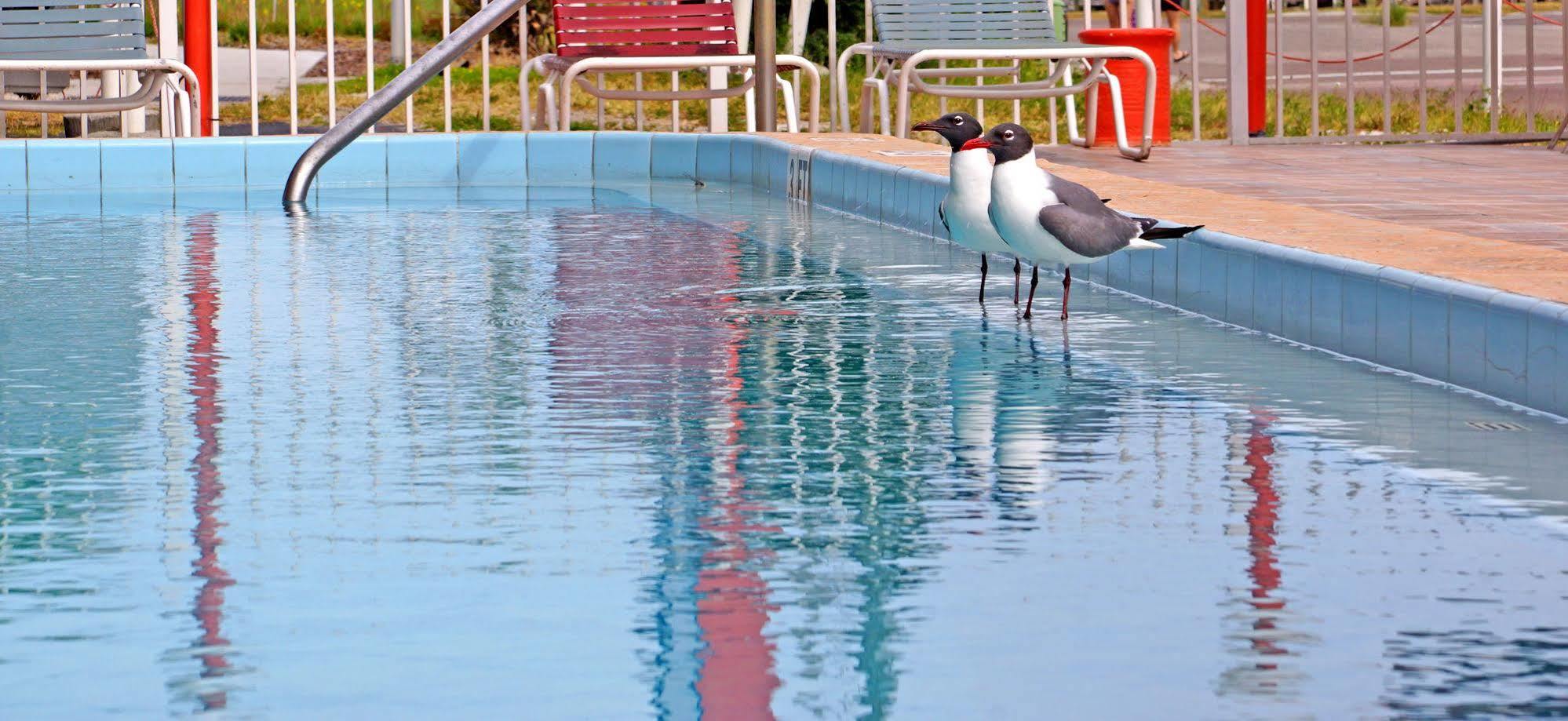 Beachwalk Inn เคลียร์วอเตอร์บีช ภายนอก รูปภาพ